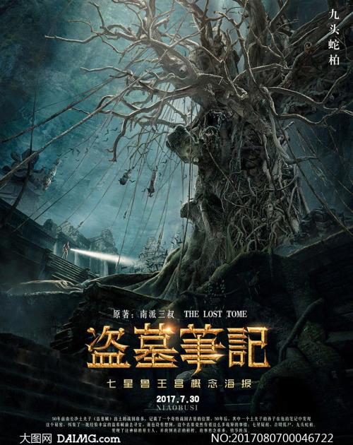 堪萨斯大学学士证书